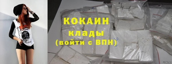 индика Балахна