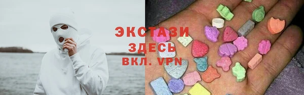 индика Балахна