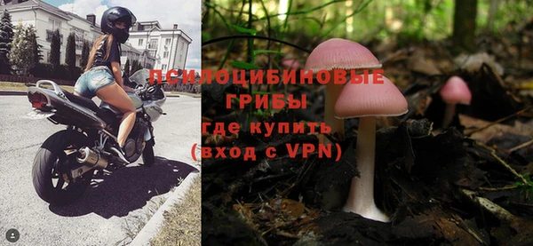индика Балахна