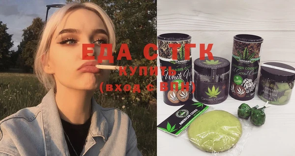 индика Балахна