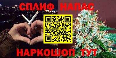 дмт Аргун