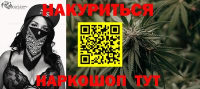 дмт Аргун