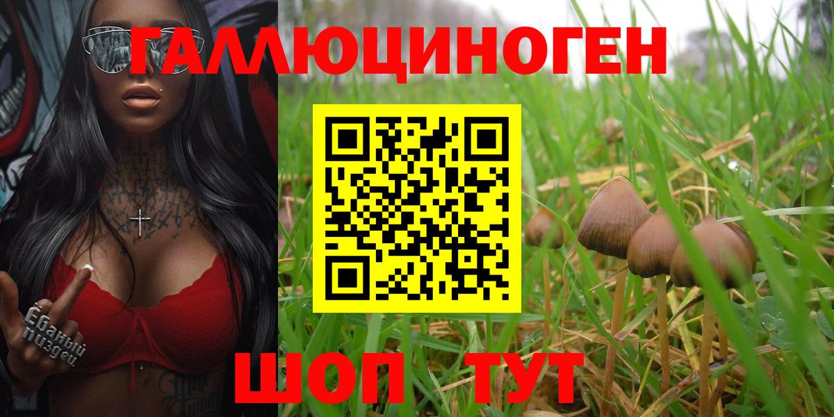 Галлюциногенные грибы мицелий Бор